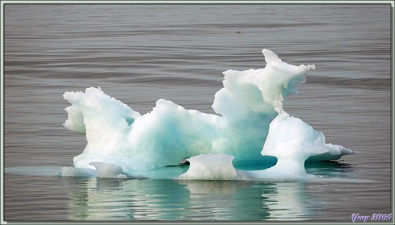 Débarquement à Grise Fiord (ᐊᐅᔪᐃᑦᑐᖅ ou Aujuittuq, le Village qui ne dégèle jamais) vu du navire - Ellesmere Island - Nunavut - Canada