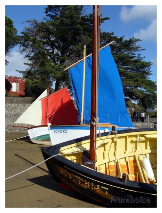 Journées du Patrimoine 2011 à Pornic Les Coques en Bois