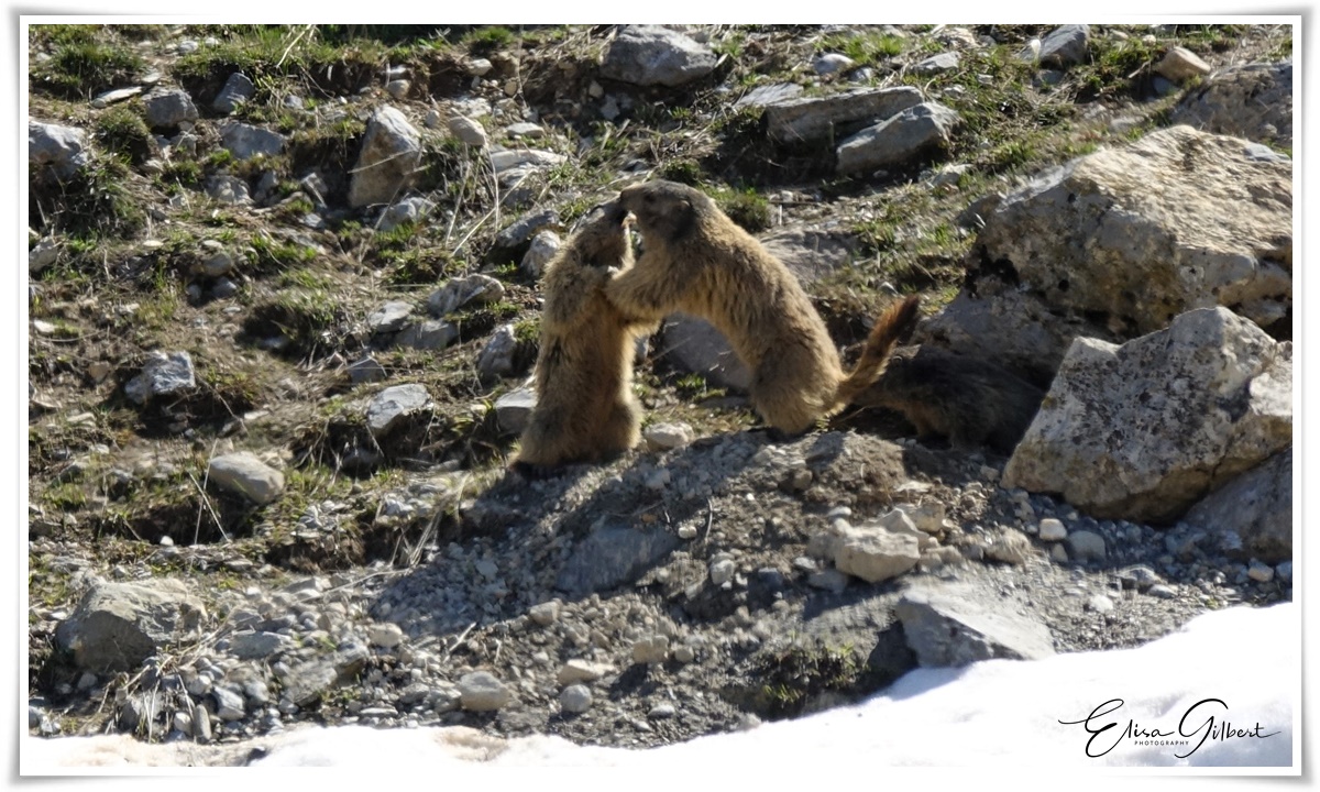 Larche Col Franco/Italien
