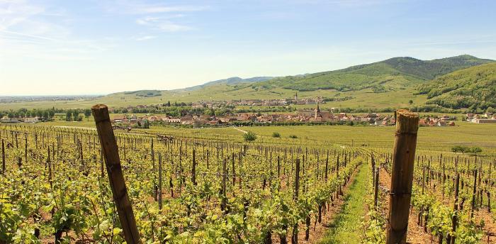 Département du  Haut-Rhin 