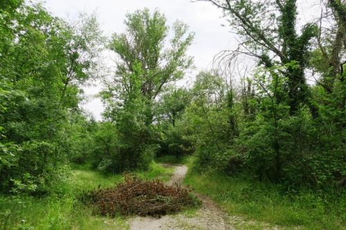 Randonnée "Au fil de l'eau" à NERS