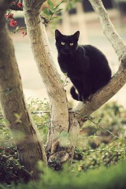 Déjà un an pour le départ de Lisa