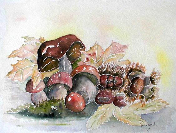 Aquarelles de : Jean Lavernhe