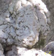 Eau, arbres et rochers émanants de l'été