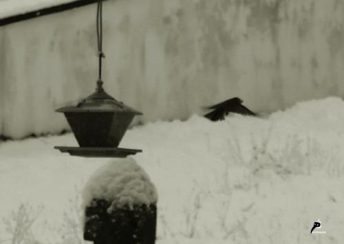 Deux messieurs dans la neige -  Wladyslaw Szlengel