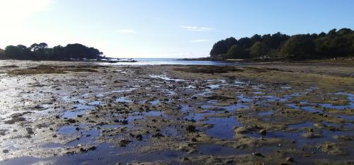  Suite de la suite de l'épilogue !