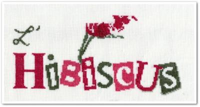 L'hibiscus de Lili Points - 3