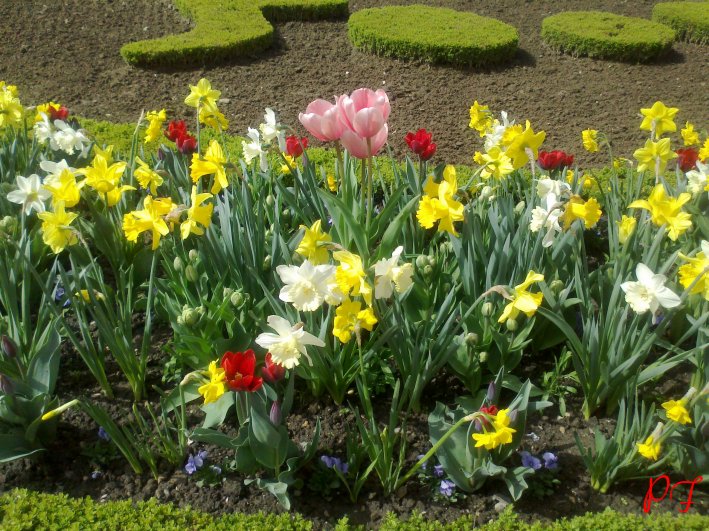 image31.jpg