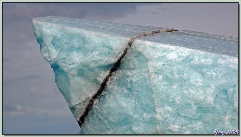 Iceberg et front du glacier - Bethune Inlet - Devon Island - Nunavut - Canada