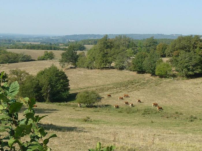 Département de la Charente