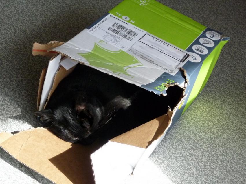 AnnickAmiens.Pépita.2013