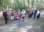 La randonnée du 21 octobre en forêt de Grimbosq