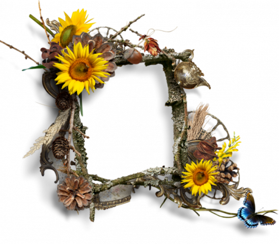 encadrements & Clusters automne 