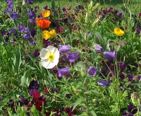 Image30
