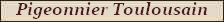 Vignette Pigeonnier Toulousain