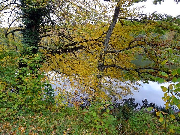 Les étangs des Marots en automne