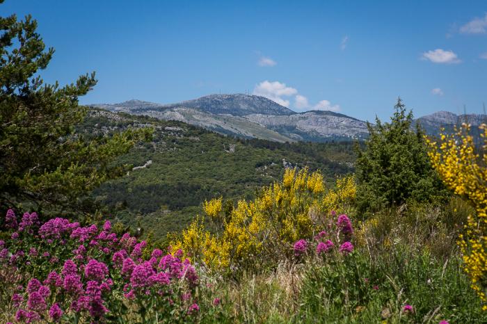 Département du Var