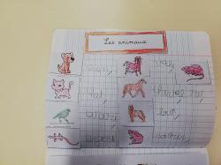 L'anticipation en production d'écrits: une clef de la réussite