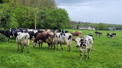 La randonnée du 28 avril à Gouvix