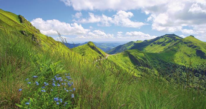 Département du Puy de Dôme