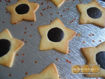 Etoiles de Noel