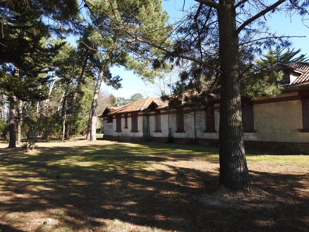 Ce qu'il reste de l'Aérium d'Arès, février 2023...