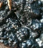 Mine de Saint Martin d' Arrossa  (Pays Basque dept 64)