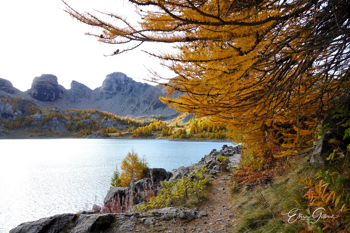 Féerie d'Automne