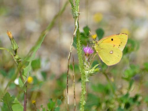 Randonnée "Au fil de l'eau" à NERS