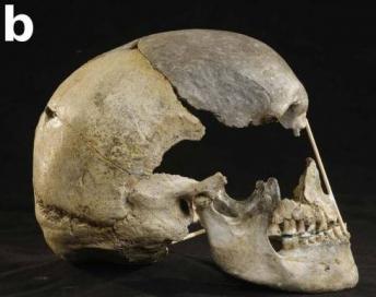 8 - L'expansion des Homo sapiens