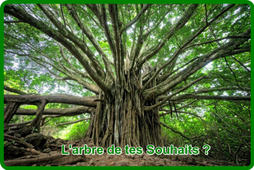 ღ꧁ღ╭⊱ꕥ   Les Arbres  ꕥ⊱╮ღ꧂ღ