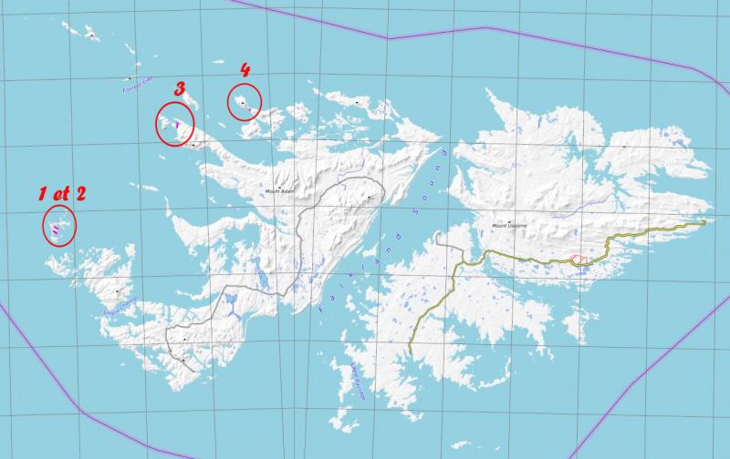 6 mars 2019 : dernier débarquement aux Falkland sur l'île Saunders