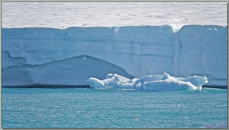 Le reste de la matinée va se poursuivre en navigation depuis l'île Noraustlandet vers le nord-est de l'île Spitzberg - Svalbard - Norvège