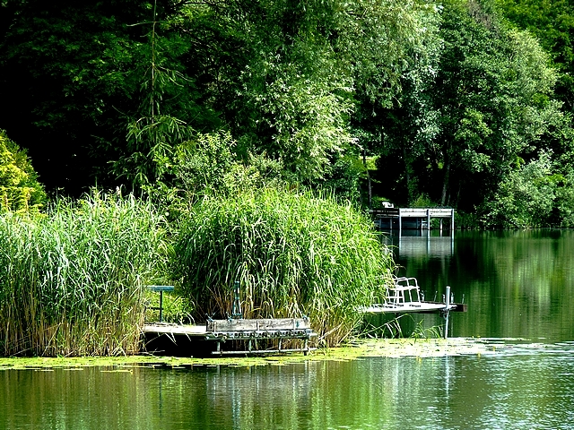 Photos de Moselle