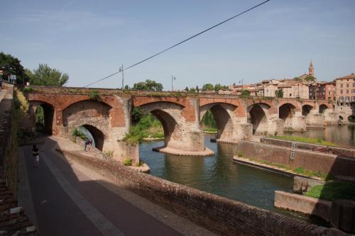 Albi  (Tarn)