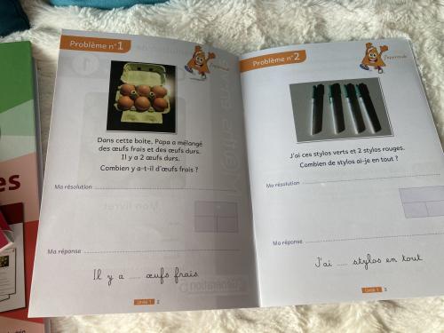 Classeur « Enseigner la résolution de problème CP » de Génération5 - Test