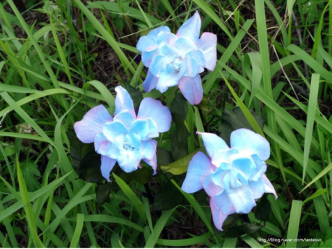 Quatrième histoire [20/07/17]