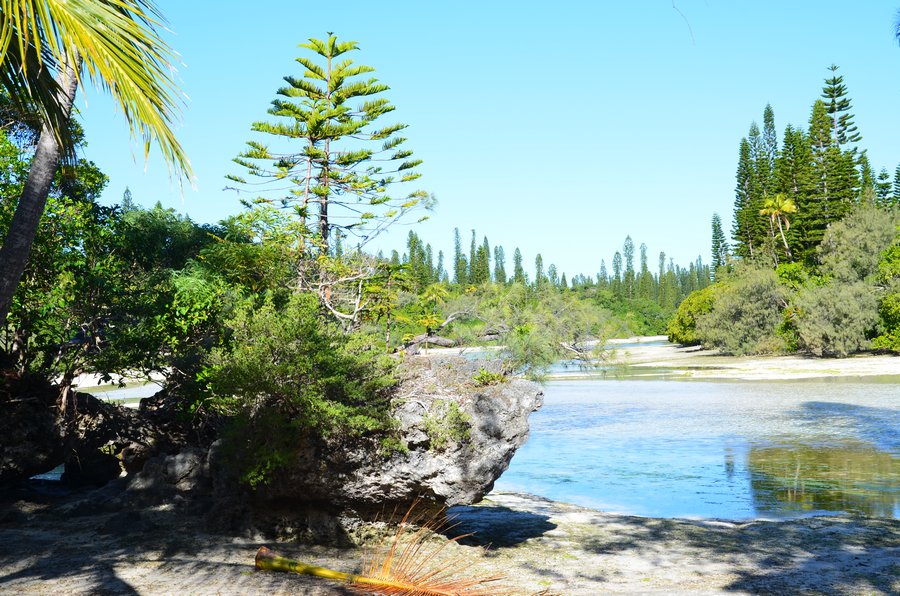 ile des pins caledonie ile loyaute schnoebelen