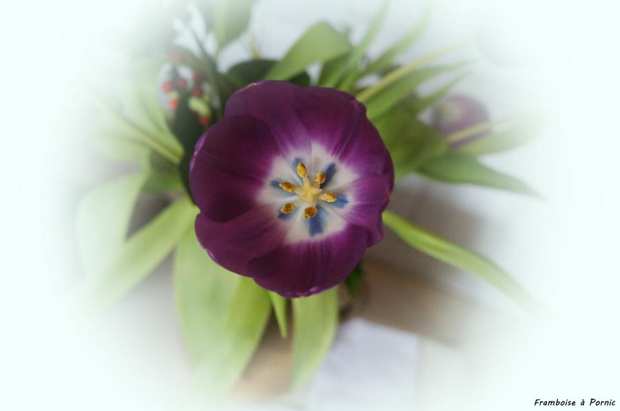 Bon dimanche 
