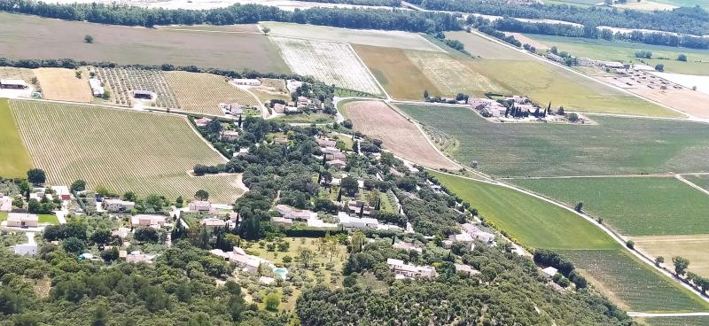 Un bi aux petits oignons