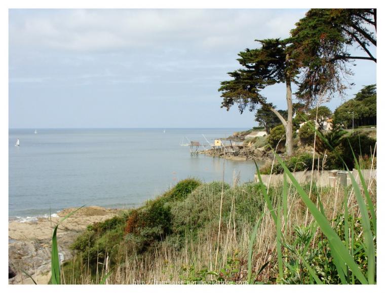 Rencontres Coques en Bois ce week end ...