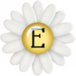 Le Langages Des Fleurs.