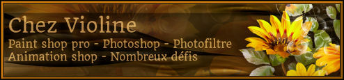 Copyright sur les tutoriels B92033562c0258e9e295