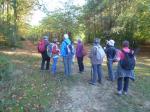 La randonnée du 21 octobre en forêt de Grimbosq