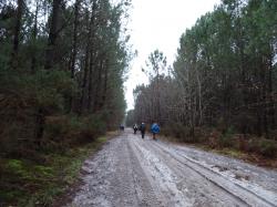 CR / RANDO 15 / ST-MEDARD-EN-JALLES