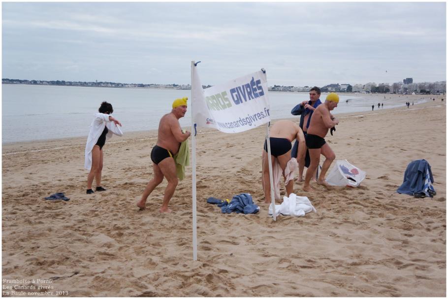 Les canards givrés à la Baule 2013