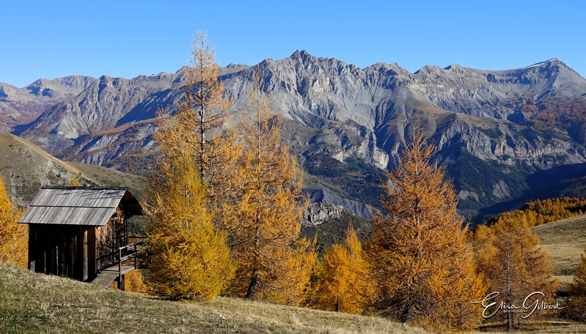 Dernier jour d'automne