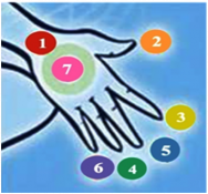 SEPT PARTIES ESSENTIELLES DU CORPS OU LES SORCIERS ET LES DJINNS ATTAQUENT L’HOMME A TRAVERS LES MAUVAISES ENERGIES DES SIHRS. COMMENT SE FAIRE LA ROQYA EN 15MN PAR LA FATIHA ET L’ENERGIE