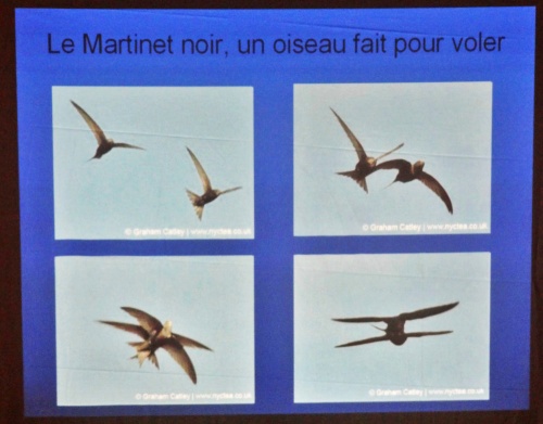 Une conférence de la LPO à Marcenay...