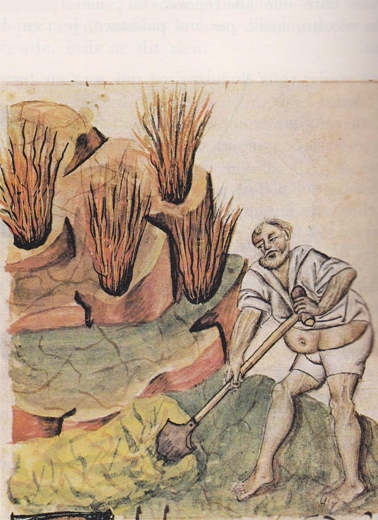 Le diable agriculteur (Roger Dévigne)